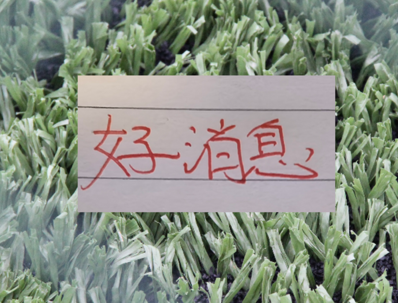 PG模拟器-也是好消息！申花单场独造三球王牌 很有可能第四轮复出